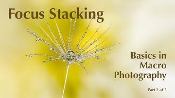 Focus Stacking in Macro Photography