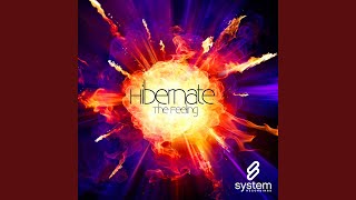 The Feeling (Radio Edit) - Hibernate