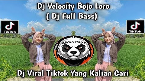 DJ VELOCITY BOJO LORO || KUCING GARONG  FULL BASS HOREG YANG LAGI VIRAL DI TIKTOK