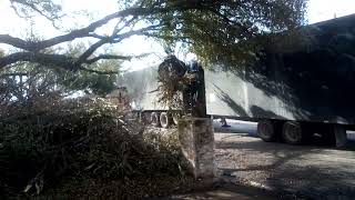 GRAPPLE TRUCK   LOADING TREE BRANCHES LIKE A PRO.  2/14/2023   TAYLOR, TEXAS