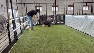 IMG 4957