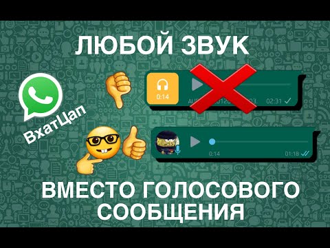 Отправка любого звука вместо голосового сообщения в WhatsApp