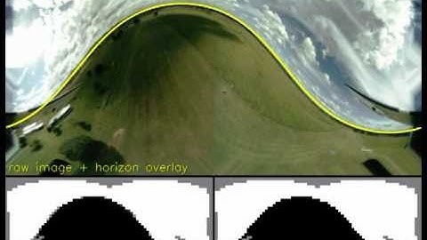 Using the visual horizon to estimate aircraft attitude