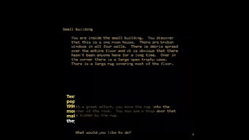 The Rich History of Text-Based Games