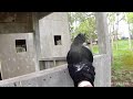 game 4 4 corners xtreme paintball 19 April 26