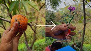 Unbelievable! These Amazing Hacks Will Make Growing Plants Super Easy with AwesomeTech...
