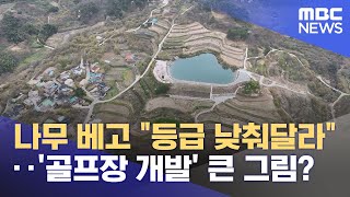 나무 베고 "등급 낮춰달라"‥'골프장 개발' 큰 그림? (2024.04.26/뉴스투데이/MBC)