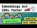 How to embed text *much* faster with model2vec