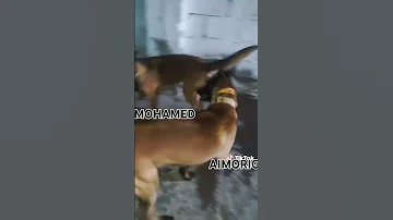 واش العشران اشخبركم عيدكم مجيد 