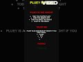 PLUEY THEORY #deltarune #deltarunechapter3 #theory #review