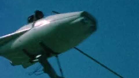 Trantor - The Wrong Person (Official Video)