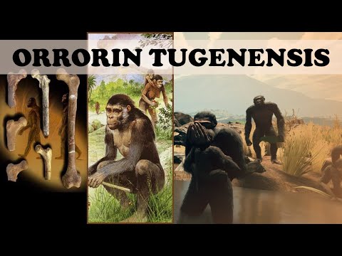 مرد هزاره: Orrorin tugenensis