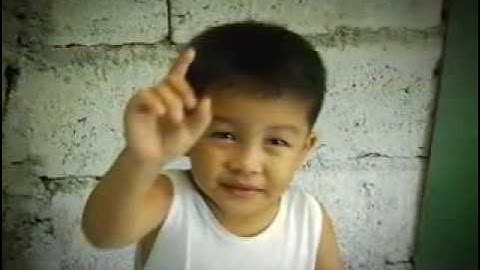 ISSUES_CORRUPTION GUINGONA_WMV V9.wmv