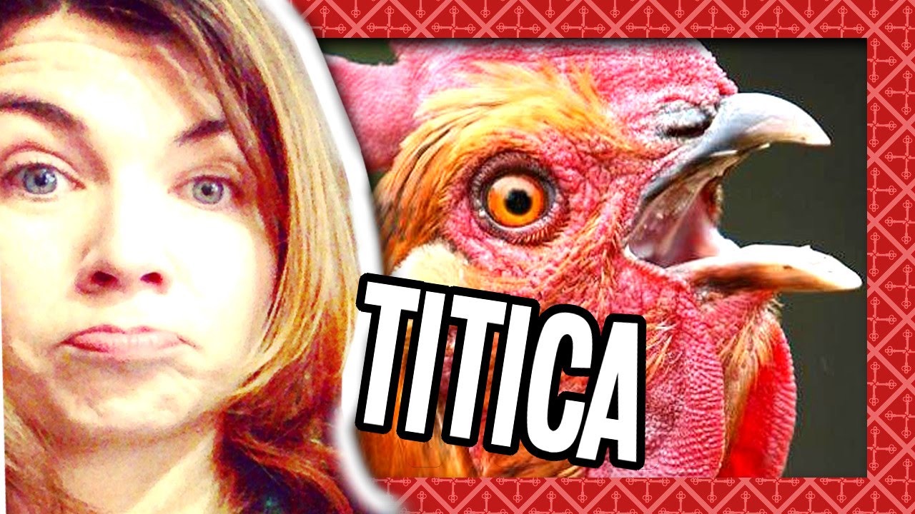 TITICA DE GALINHA!- Ep.380 - YouTube