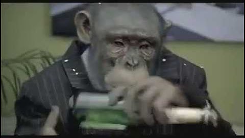 CareerBuilder.com: Monkey Business  (Monkeys Drinking - Pre Super Bowl Ad)