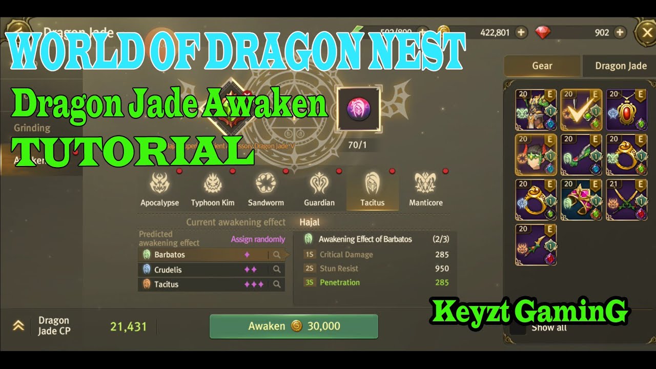 WORLD OF DRAGON NEST JADE AWAKENING TIPS FOR BEGINNER