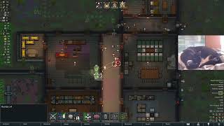 Don't Understimate Guinea Pigs screenshot 5