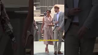 Prince William Silence Allegedly Destroying Harry And Meghan Publicly Without Speaking Net Worth