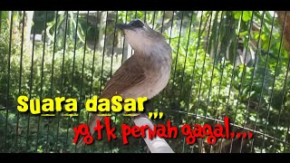 Suara Dasar📌Terapi Trucukan Biar Gacor/ropel Yang tidak Pernah gagal