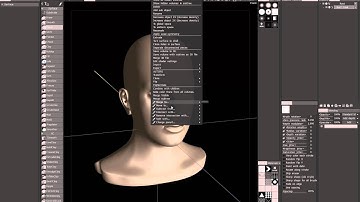 3D Coat Video Manual - Quick Access VoxTree Menu