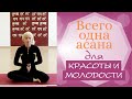 ВСЕГО ОДНА АСАНА ДЛЯ КРАСОТЫ И МОЛОДОСТИ