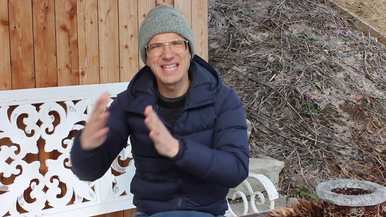 Hummelpflanzen und Bienenpflanzen für Februar und März, Allgemeines über die Hummel