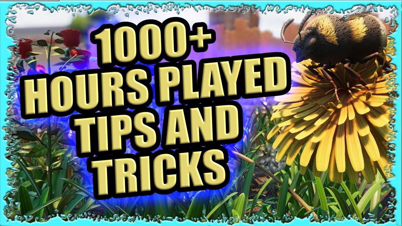 Ive Played Over 1000 Hours in Grounded To Bring you the BEST 20 Tips ...