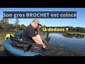 Pche du brochet dans un spot sauvage  son poisson est coinc dans les herbiers 