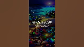 تلاوه تريح القلب 🎧💚💚 #القرآن_الكريم #تلاوة_خاشعة #تلاوة_هادئة #تلاوه عطره
