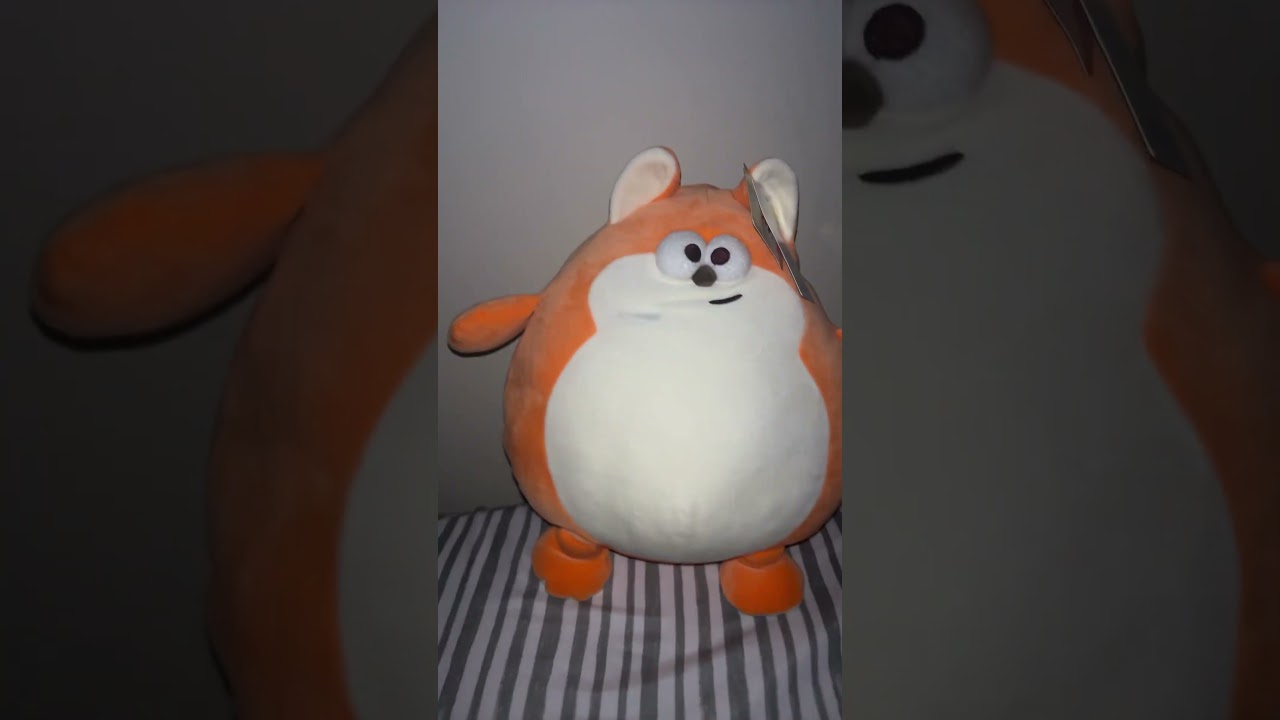 Something at night. #night #bed #fox #foryou #music #likeandsubscribe