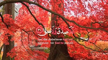 #سورة_القيامة القارئ #ناصر_القطامي