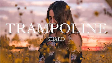 SHAED - Trampoline (Lyrics)