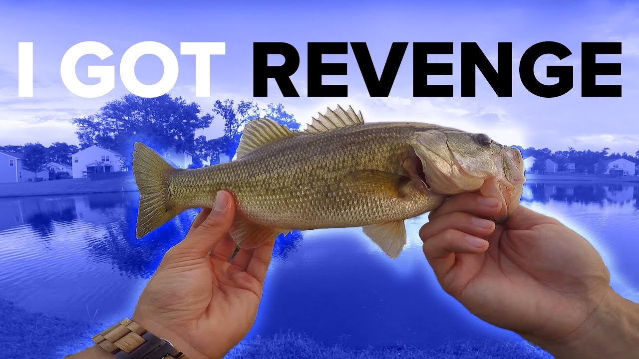 bass fishing at night I GOT REVENGE