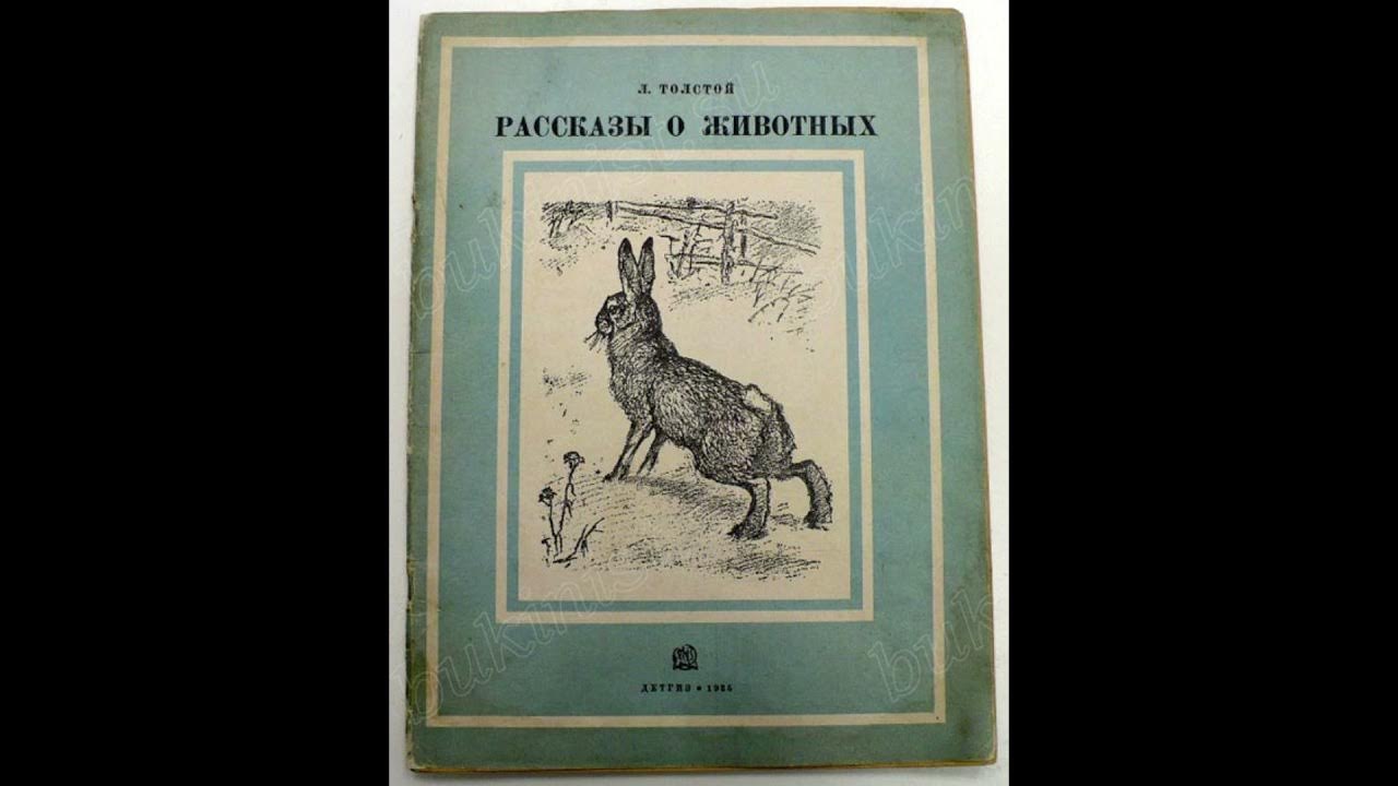 Басня л н толстого черепаха. Толстой черепаха. л н толстой черепаха. рассказ черепаха толстой. тема рассказа черепаха толстого.