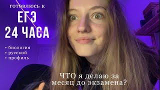 Готовлюсь к ЕГЭ 24 часа / биология, русский / дневник выпускницы / vlog