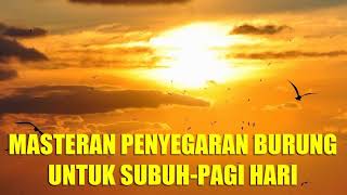 Masteran Untuk Penyegaran Burung Kicau Di Waktu Subuh Dan Pagi Hari
