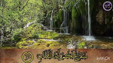 ما تيسر من سورة الرحمن بصوت القارئ عمير شميم 💚