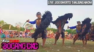 Rogo samboyo live Jogomerto Tanjunganom