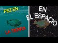 LOS PECES SON INCREIBLES...(NO APTO PARA SENSIBLES)