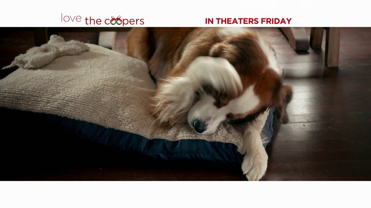LOVE THE COOPERS You Can't Regift FAMILY 30 In Theaters