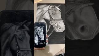 A House potrait #shorts #drawing #horse