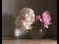 Painting Peonies In Oils Live Alla Prima Oil Painting Session 