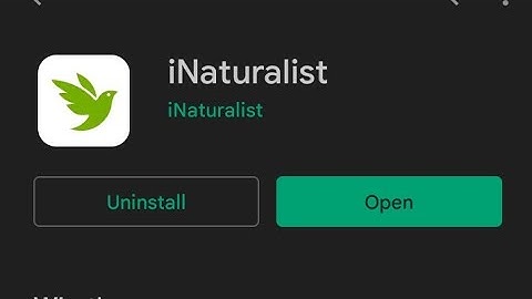 How to ID and locate plants/bugs/animals around you with Inaturalist @inaturalist-org #plantID