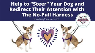 #trainerquicktip Help to Steer Your Dog and Redirect Their Attention w  The No Pull Harness screenshot 3