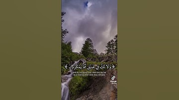 الصبر مفتاح الفرج@قرآن كريم