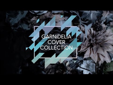 09BGARNiDELiA COVER COLLECTiON【豪華盤】