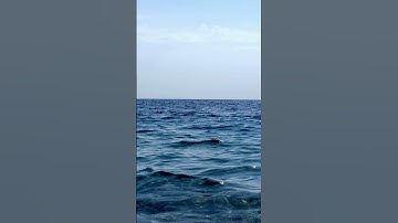 تلاوة تريح القلب من إسلام صبحي #قرآن_كريم #صوت_خاشع #تلاوة