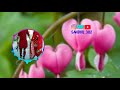 ⤵️download link⤵️Munda👫Change Ho Gya💚💙| Gurneet Dosanjh👌| Latest Punjabi Song | RaVi Sandhu 2018