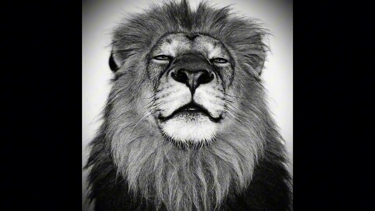 Dark Boom Bap Type Beat - "Gen" | old school beat