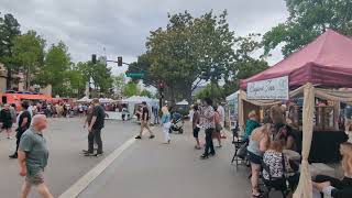 Sunnyvale Art and Wine Festival 2022, downtown.